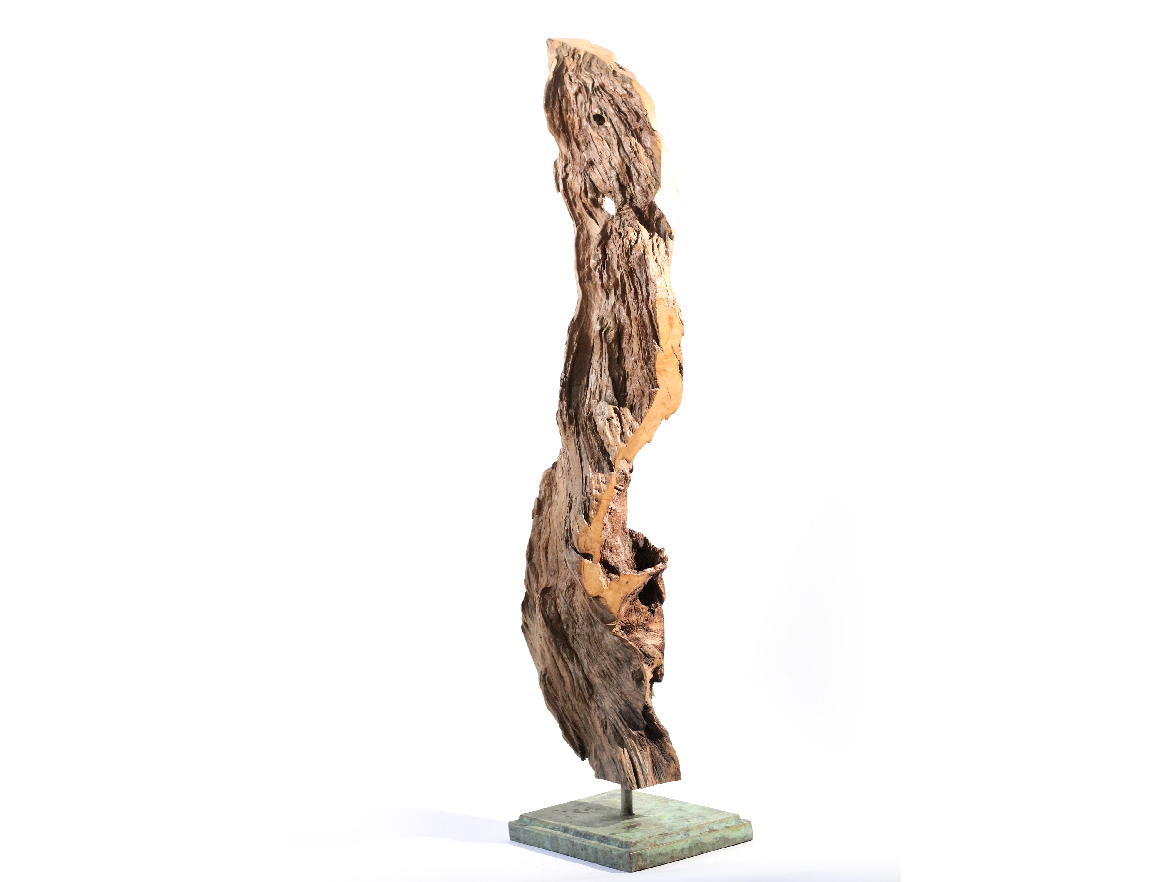 Driftwood Sculpture on Verdigris Metal Stand